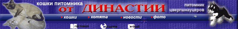 head1.gif (26755 bytes)