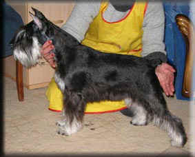 jack.jpg (8858 bytes)